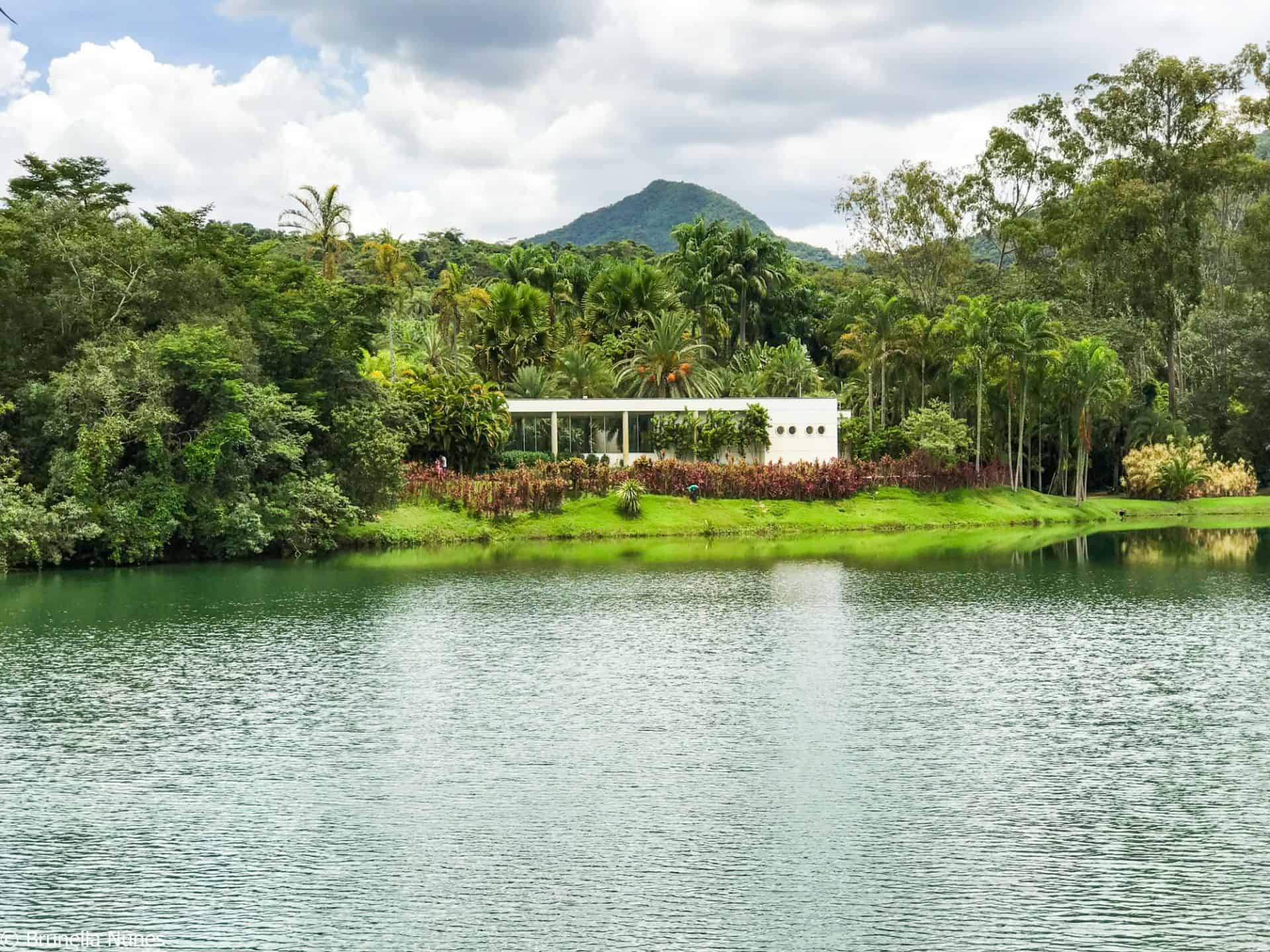 BRUMADINHO/MUSEU INHOTIM (MG)
